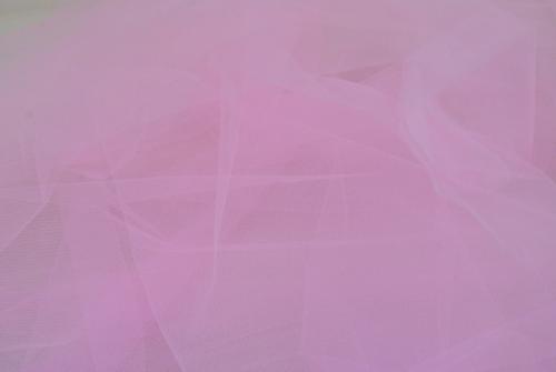 Tulle rose